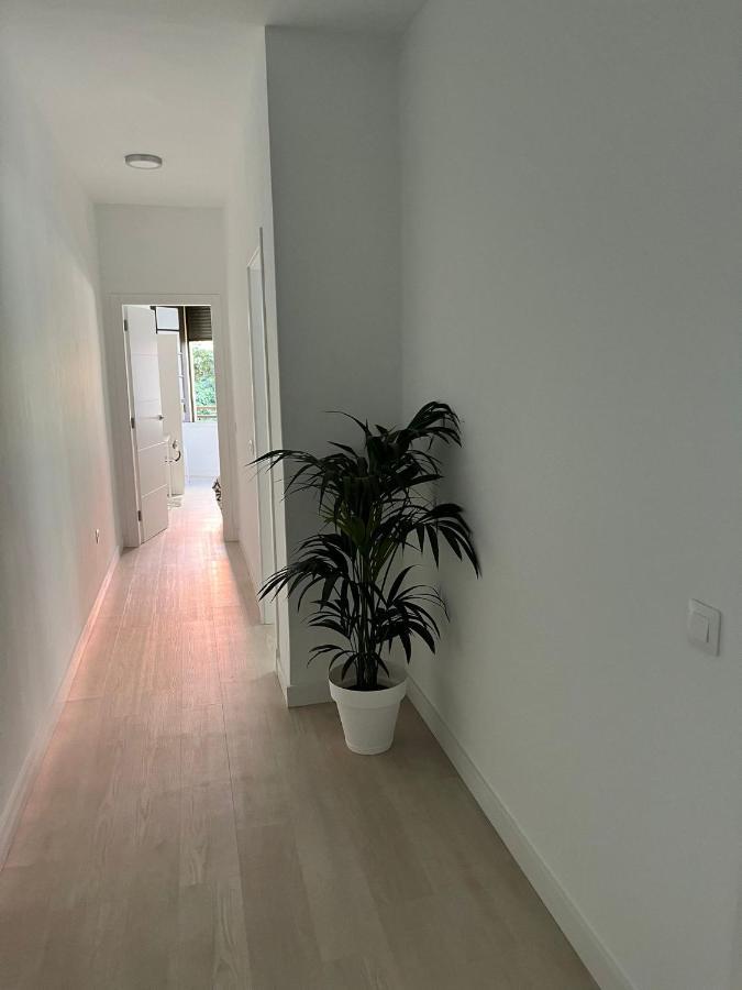Tantulia Callao 57 Aptartamento 5Hab Centro De La Capital En Tenerife Санта-Крус-де-Тенерифе Экстерьер фото
